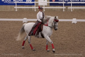 Lusitano Breed Society of Great Britain Show - Hartpury College - 27th June 2009